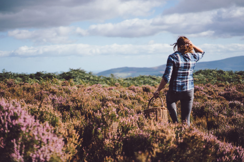 World Environment Day 2020 - foraging in County Wicklow, The Garden of Ireland