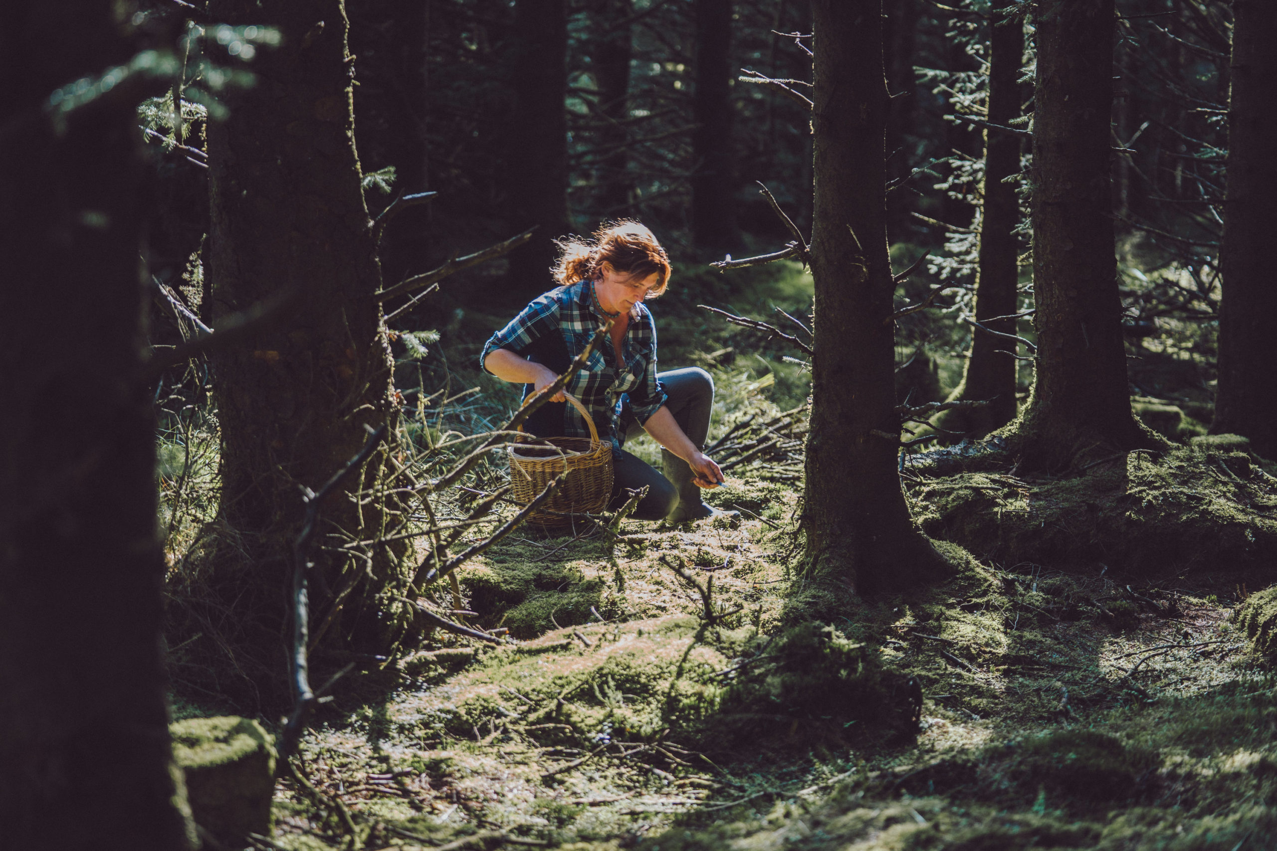 Wicklow Wild Foods with forager Geraldine Kavanagh