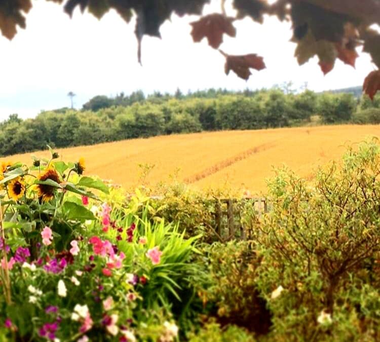 Lughnasa - here's how you can celebrate in The Garden of Ireland