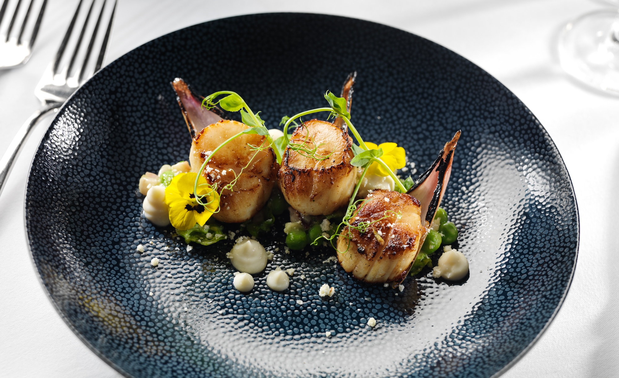 The Druids Glen Starter - Seared Kilmore Quay Scallops - Cauliflower & Parmesan Puree, Peas A La Francais