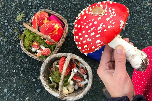 Fly Agaric – The Folklore, Mystique & Magic of this Toadstool