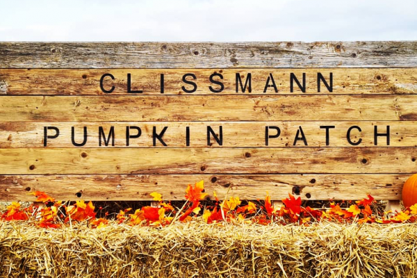Clissmann Pumpkin Patch